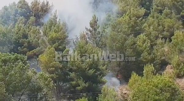 ZJARR NË KODRAT E ULLINJVE NË BRADASHESH/ Flakët përparojnë drejt pishave (VIDEO)