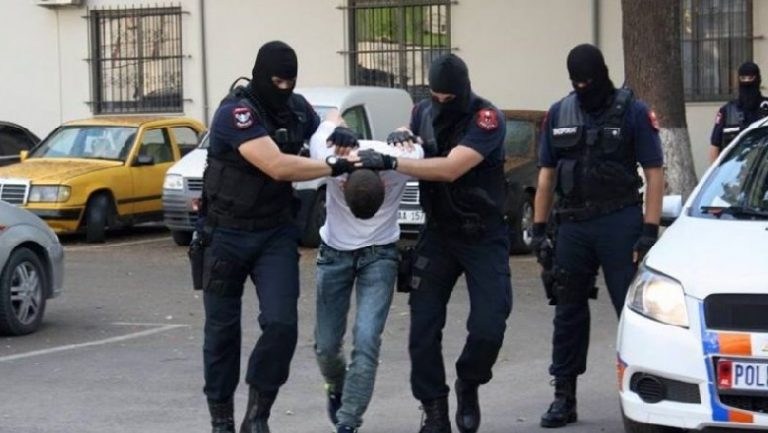 “SHITËSIT E MESNATËS”/ Kapet banda e hajdutëve, zbulohet lista me 12 vjedhje. Ja çfarë kishin objektiv