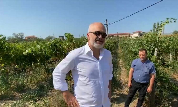 “ATY KU BASHKIMI BËN FUQINË DHE TOKA EKONOMINË”/ Rama në Fishtë të Lezhës: Ca i hedhin prodhimet në lumë se…