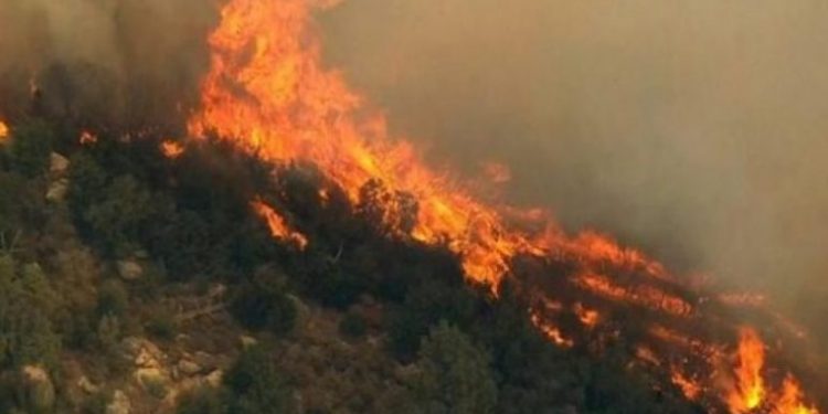 ZJARRI PËRFSHIN KODRËN NË ELBASAN/ Izolimi i flakëve, i vështirë për shkak të terrenit