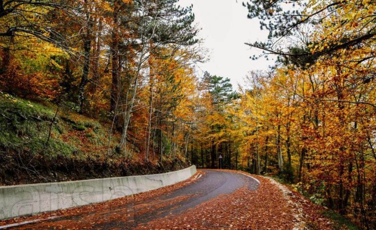 NJË MOZAIK NATYROR MAGJEPSËS/ Vjeshtë në Qafështamë, pamjet e “arta” të një natyre mahnitëse (FOTO)