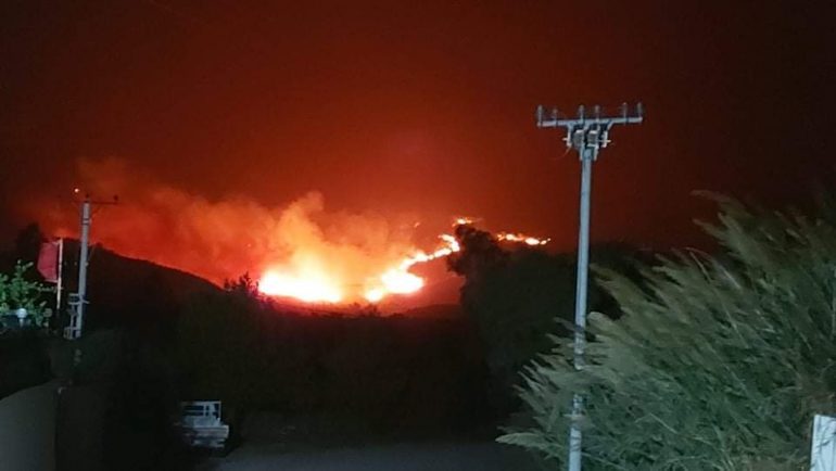 ZJARR NË KODRAT E TRAGJASIT NË VLORË/ Digjen parcela me ullinj dhe kullota, e pamundur ndërhyrja e zjarrfikëseve (VIDEO)