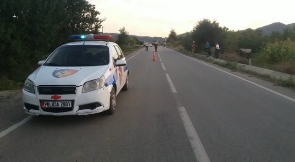 PO KULLOSTE BAGËTITË/ Mësuesja me makinë godet bariun në cep të rrugës, përfundon në pyll
