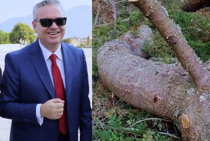“JE NË SHTËPINË E HAJDUTËVE”/ Myslim Murrizi i përgjigjet Brisida Shehajt: U konvertove me klering nënkryetare e LSI-së