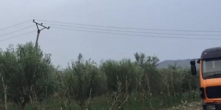 NGJARJA TRAGJIKE/ Kush ishte 16-vjeçari nga Berati që HUMBI JETËN duke punuar arë, i ati në spital
