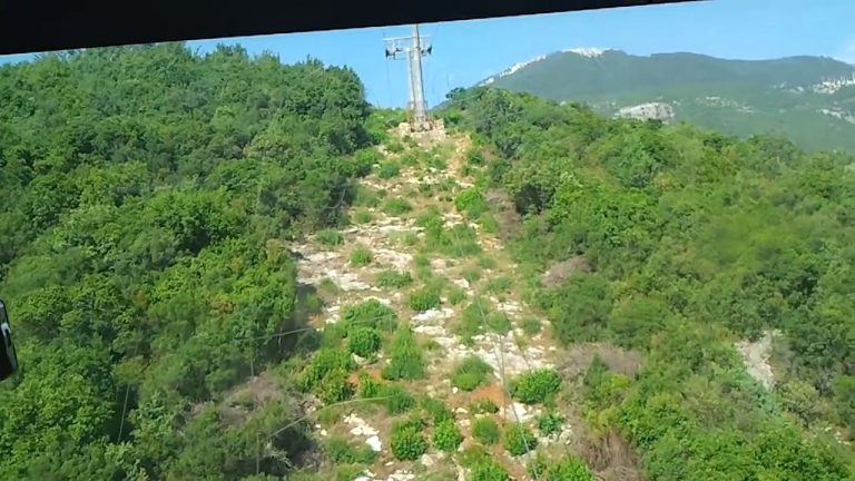 SHOKUESE/ Gjendet i vdekur 34-vjeçari në Dajt, ishte vetvarur në një pemë tek Teleferiku