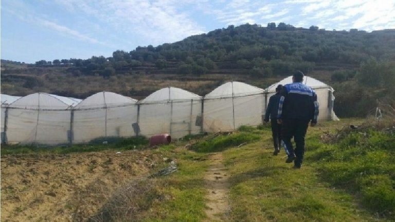 OPERACION ANTI-KANABIS NË GJITHË SHQIPËRINË/ Angazhohet 70% e strukturës policore, kontrolle me 50 drone dhe 2 helikopterë