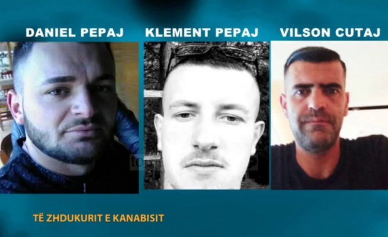 SI NDODHI NGJARJA E RËNDË/ “Kanabisin e more ti”, nga nisja e sherrit mes kushërinjve, te rrahja dhe vrasja makabre