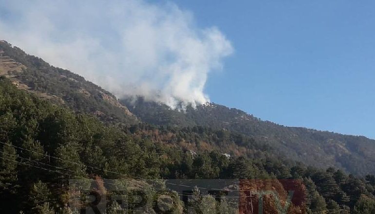 ZJARR I MADH NË PARKUN KOMBËTAR TË QAFSHTAMËS/ Digjen mbi 10 hektarë pyje…