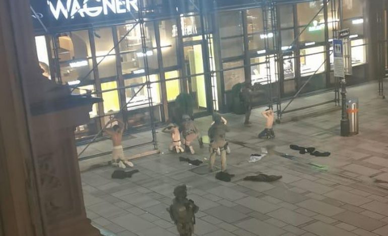 SULMI ME 7 TË VDEKUR NË VJENË/ Policia ndalon disa të dyshuar, ja momenti kur mbahen gjysmë të zhveshur me duart lart