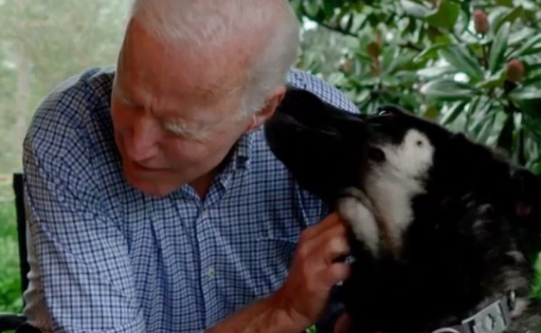 E PAPRITUR/ Po luante me qenin, Joe Biden përfundon me këmbë në allçi