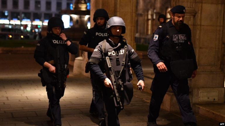 SULMI TERRORIST NË VJENË/ EUROPOL kërkon informacione nga Bosnja