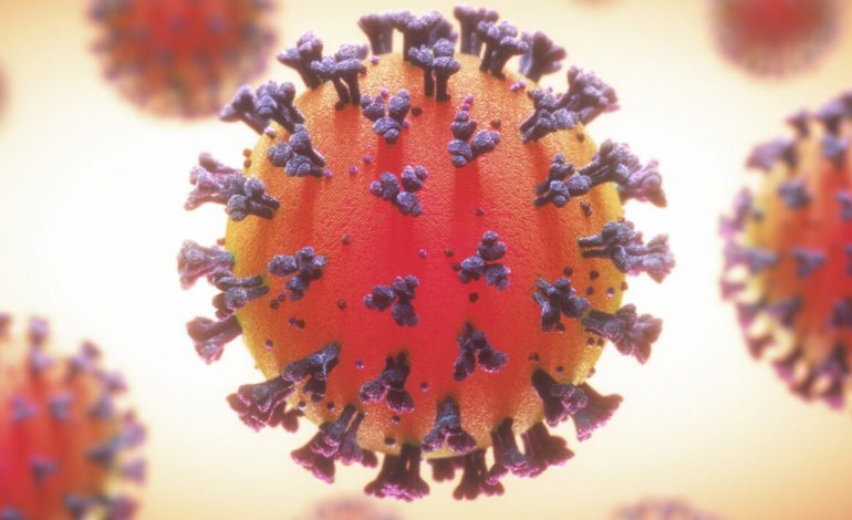 SITUATA E COVID-19/ Virologia italiane: Dy vaksina do jenë gati brenda dhjetorit