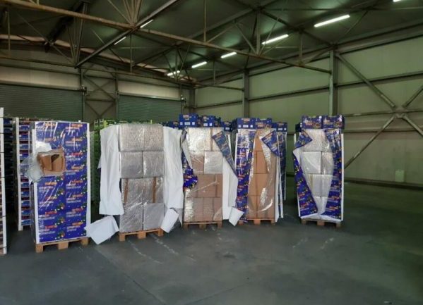 2.6 TON KANABIS NË MALIN E ZI/ Kush janë 2 lushnjarët e përfshirë. Kamioni u ngarkua në magazinën…