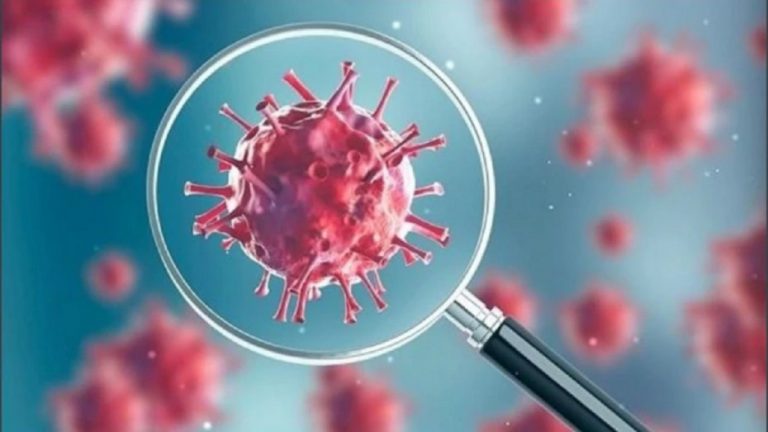“PLAS” COVID-19 NË KORÇË/ Infektohen 3 mësues dhe 1 edukatore. 41 raste…