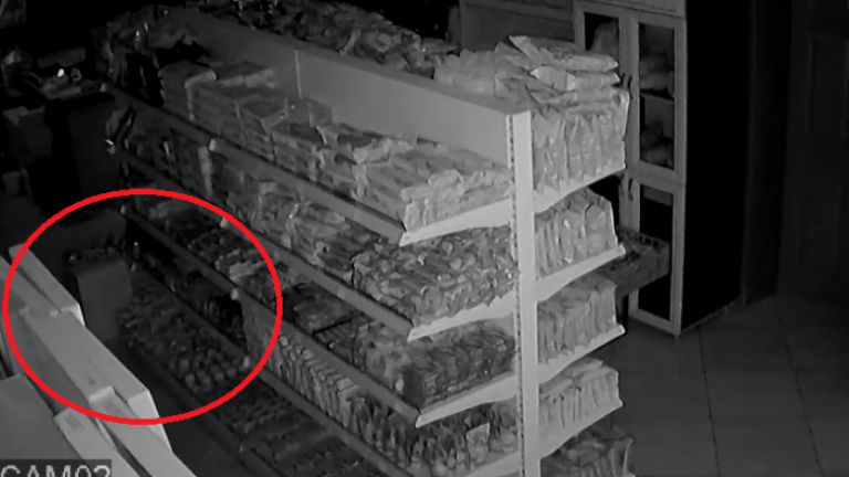 ME MAGNITUDË 5.5 BALLË/ Momenti kur tërmeti shkund dyqanin në Tetovë, shikoni si rrëzohen gjërat (VIDEO)