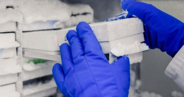 VAKSINA E COVID-19/ Si do ta mbajmë të ftohtë sa duhet? (DETAJET)