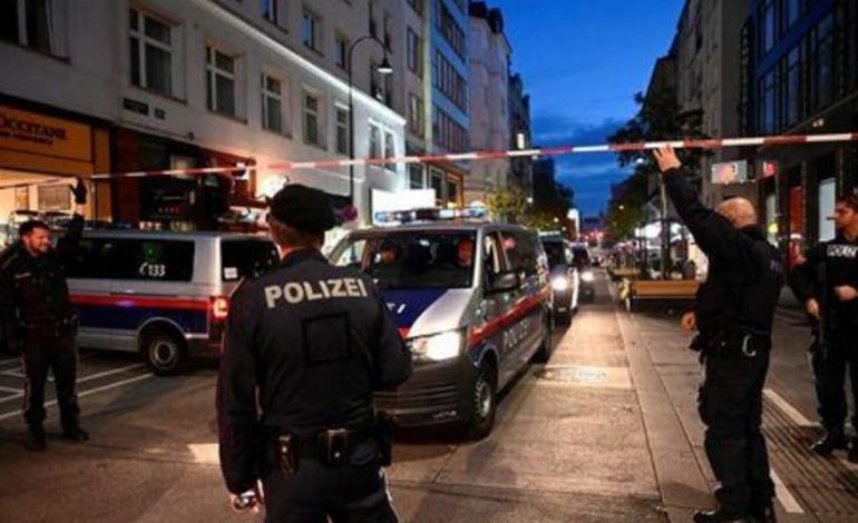 ORËT E TMERRIT/ Çfarë ndodhi në Vjenë, ku përgjegjës dyshohet një shqiptar