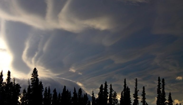 VRANËSIRA DHE RESHJE SHIU/ Mësoni parashikimin e motit për ditën e sotme
