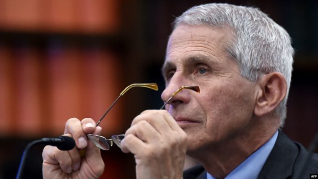JEP LAJMIN E MIRË/ Fauci: SHBA mund t’i kthehet normalitetit gjatë verës