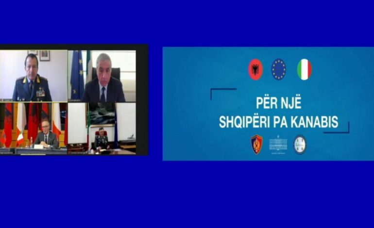 ITALIA KONFIROMON SUKSESIN E SHQIPËRISË/ “Gjatë 2020 u arrit minimumi historik, u trafikuan vetëm 912 kg canabis” (VIDEO)