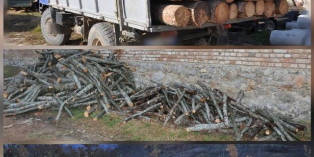 MASAKRA NDAJ PYJEVE/ Policia procedon penalisht 6 shtetas dhe 1 inxhinier mjedisi