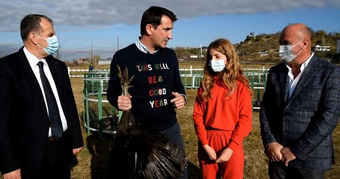 HAPET TREGU I SHPENDËVE NË BALDUSHK/ Veliaj: Blini gjelat e detit, ndihmoni një familje dhe ekonominë e zonës