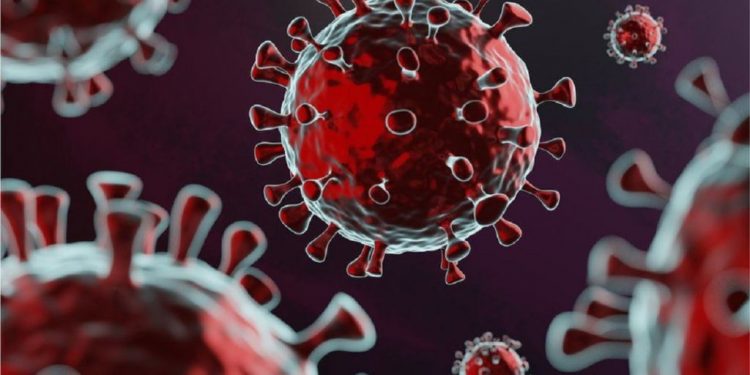 PANDEMIA/ Harta e përhapjes së variantit britanik të koronavirusit rritet dhe…