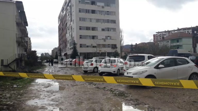 VRASJA E DYFISHTË NË ASTIR/ Policia: 59-vjeçari qëlloi gjatë një konflikti të çastit bashkëjetuesen dhe motrën
