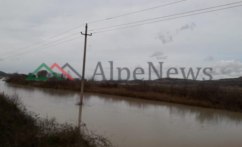 MOTI I KEQ NË VEND/ Lumi i Vjosës del nga shtrati, përmbytet toka bujqësore… (PAMJET)