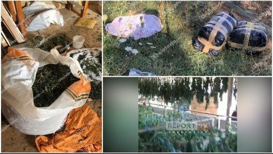 OPERACIONI ANTI-DROGË NË SKRAPAR/ Pamje si thahej kanabisi në një stallë lopësh. Telefonata e policit që dekonspiroi Guardia di Finanza