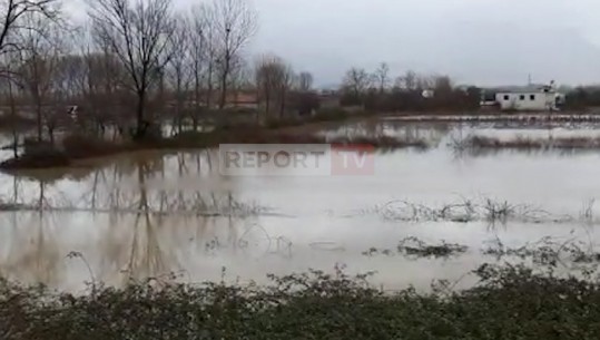 MOTI I KEQ NË FUSHË-KRUJË/ 20 banesa të rrethuara nga uji në fshatin Murqine (VIDEO)