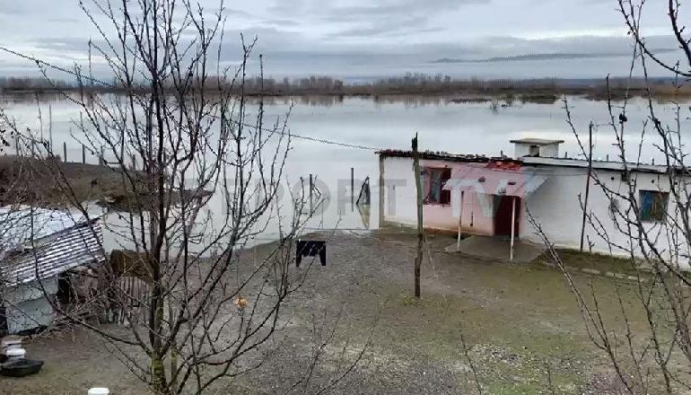 RESHJET E DENDURA/ Lumi Ishëm fryhet ndjeshëm, mbi 50 banesa të rrethuara nga uji në zonën e Fushë-Krujës