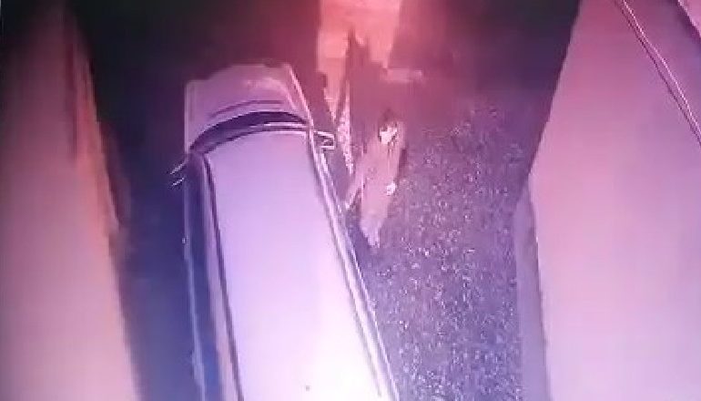 VIDEOLAJM/ Të pa maskuar dhe në mes të ditës, ja si vidhen makinat në Elbasan