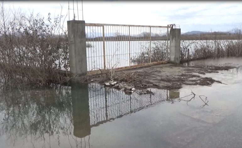 ISHMI DEL NGA SHTRATI/ Dhjetëra hektarë nën ujë në fshatrat Murqinë, Mallkuç dhe Bilaj