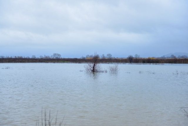 SITUATA E MOTIT NË VEND/ Ulet niveli i prurjeve në Vjosë, disa banesa të përmbytura në Fushë-Krujë