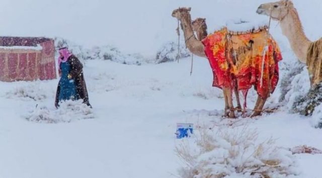 ÇFARË PO NDODH ME MOTIN? Shkretëtira e Saharasë mbulohet nga dëbora (FOTOT)