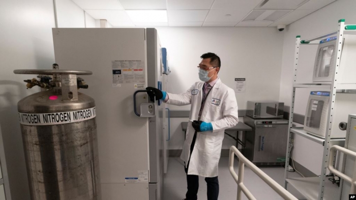 KORONAVIRUSI/ Shkatërrohen mbi 1 mijë vaksina anti-Covid të Pfizer, punëtori fiku aksidentalisht frigoriferin
