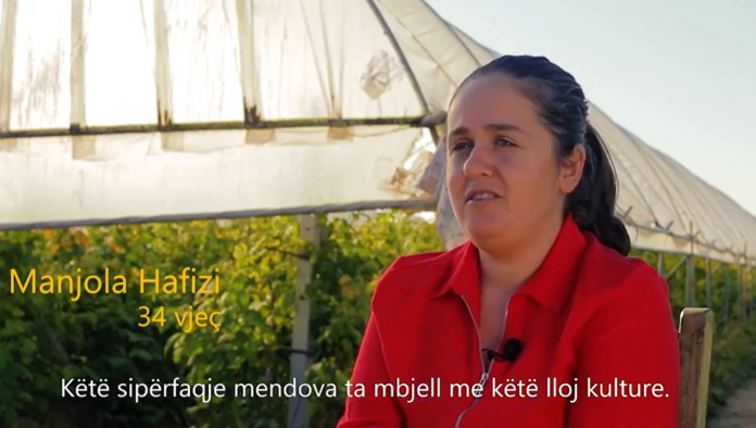 HISTORI SUKSESI/ Njihuni me 34-vjeçaren nga Preza që realizoi ëndrrën e kultivimit të mjedrës (VIDEO)