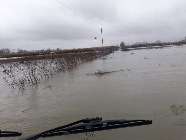RESHJET E SHIUT/ Probleme në qarkun e Lezhës. Rreth 600 ha tokë nën ujë, dalin nga shtrati lumi Drin e Gjadër