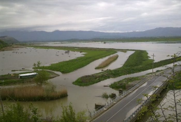 PËRKEQËSIMI I MOTIT/ Kishte mbetur i bllokuar në mes të UJIT, çfarë ndodhi me burrin në Lezhë