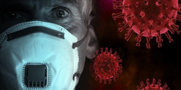 DILEMA/ A e infekton trurin e njeriut virusi Sars Cov-2?