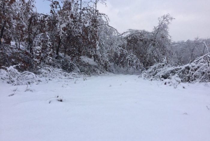 MOTI I KEQ/ Një pjesë e Dibrës mbulohet nga bora, banorët e Zall-Dardhës prej ditësh të izoluar