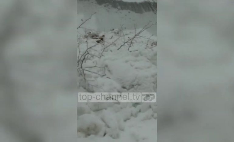 VIDEOLAJM/ Orteku i dëborës godet makinën e doktorit dhe infermierit në Malesinë e Madhe