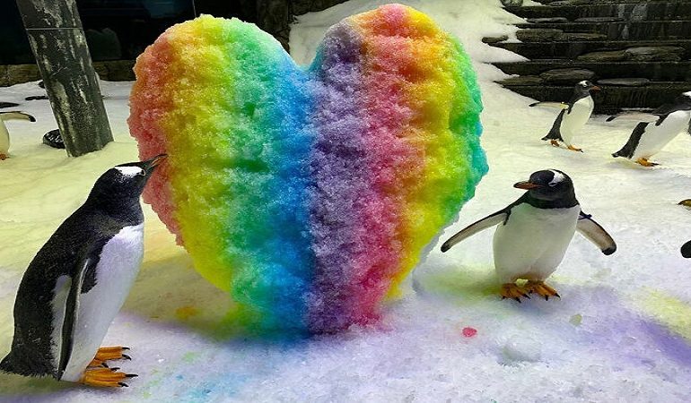E PAZAKONTË/ Çifti i famshëm i pinguinëve gay bëhen “prindër” për herë të dytë
