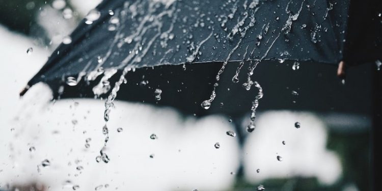 VRANËSIRA DHE RESHJE SHIU/ Mëoni parashikimin e motit për ditën e sotme