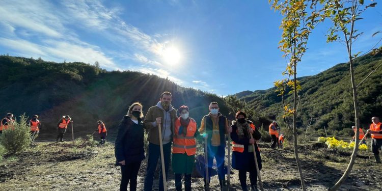 FLET NGA PEZA/ Veliaj: Opozita le të mbjellë urrejtje, ne shkruajmë historinë e Tiranës së gjelbër
