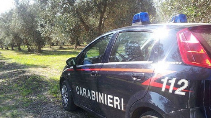 SEKUESTROHEN 1.3 KG KOKAINË/ Fshehën drogën në trungun e pemës, policia italiane arreston dy shqiptarë