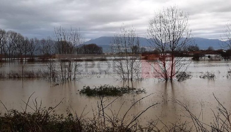 MOTI I KEQ/ Ishmi del nga shtrati, 50 banesa të rrethuara nga uji