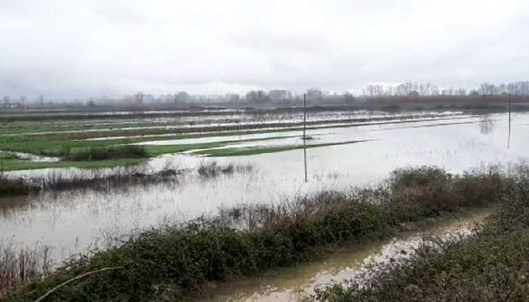 RESHJET/ Bie niveli i Ishmit gjatë natës, dhjetra hektarë tokë ende nën ujë në Fushë-Krujë